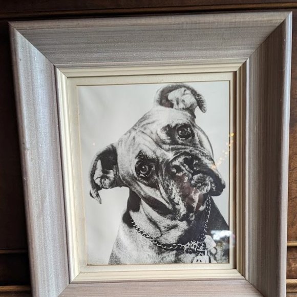 20% OFF Vintage Pet Photograph – Lucky-the-Boxer – c 1957 - Picture 1 of 7